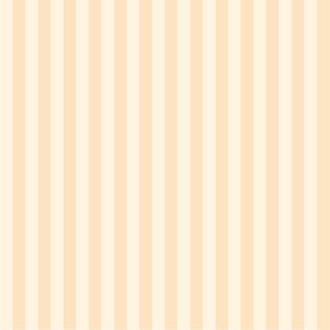 DS Staple Stripe Beige Fabric