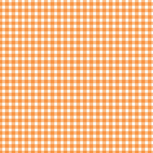 Classic Check Apricot