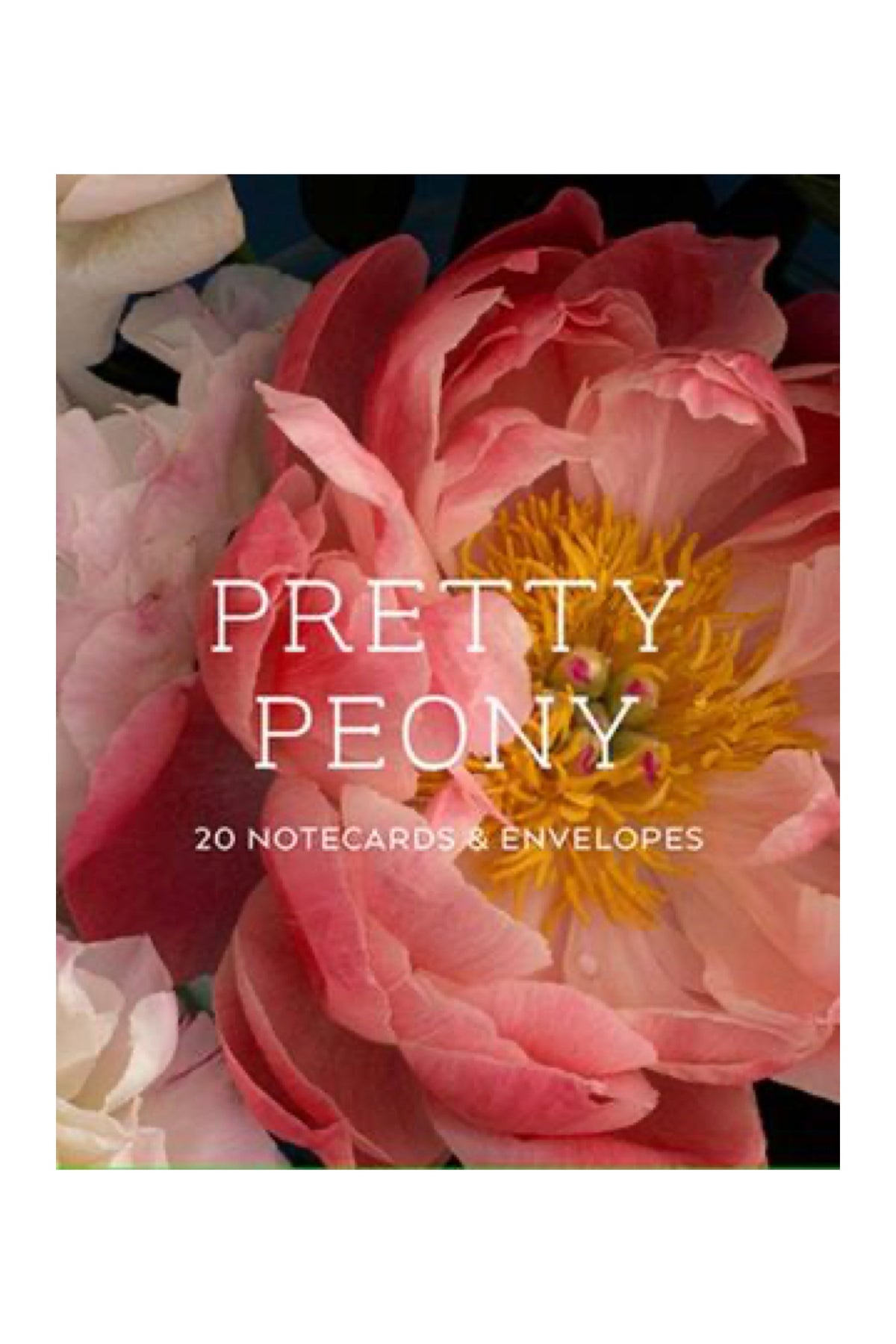 Pretty Peonies Notecards Box Of 20