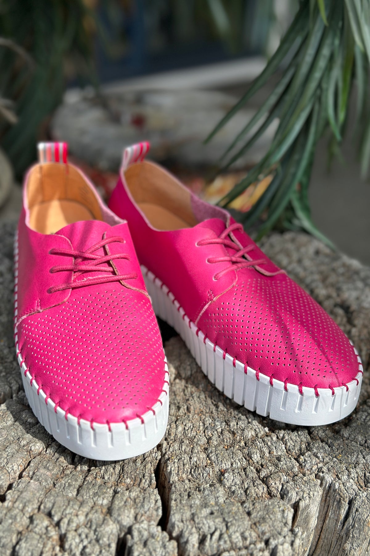 Sammy Sneaker Fuchsia