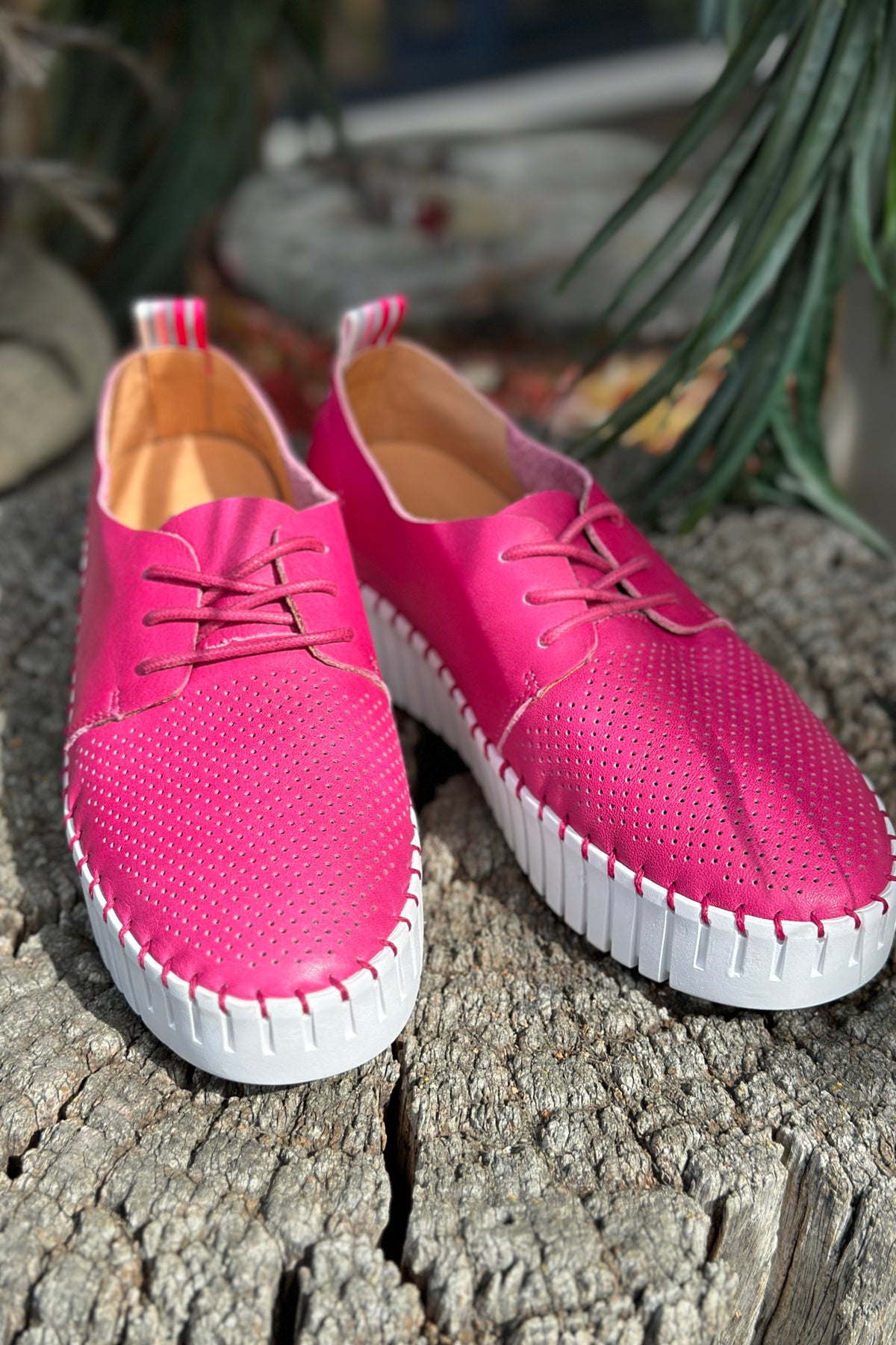 Sammy Sneaker Fuchsia