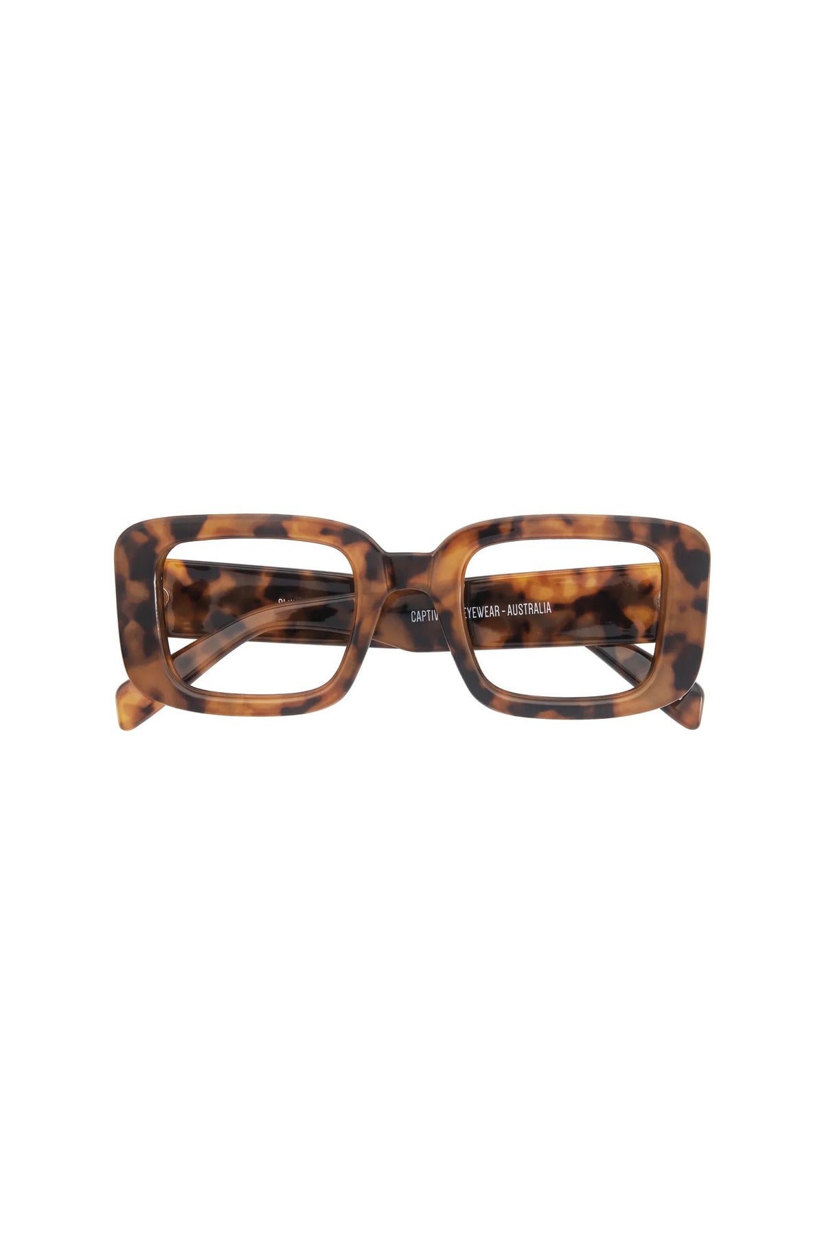 Shillia Tortoise Shell